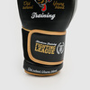 Перчатки Hardcore Training Fighting League Black PU