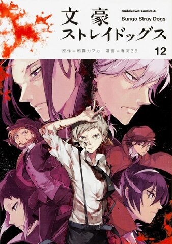 Bungo Stray Dogs Vol. 12 (На японском языке)