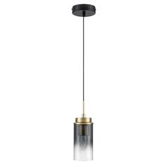Подвесной светильник Lumion ISHA 8101/1A