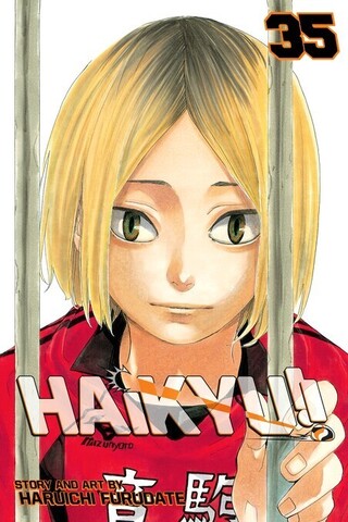 Haikyu!! Vol. 35 (На английском языке)
