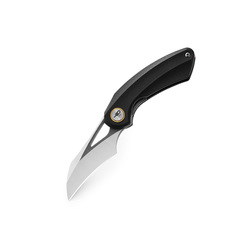 Фото Складной нож Bestech Bihai, сталь 14C28N, рукоять G10, черный