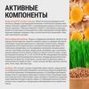 Кадр 6