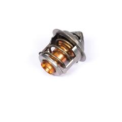 Термостат / THERMOSTAT АРТ: 145206270