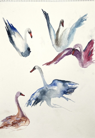 Рисунок 15