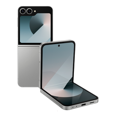 Смартфон Samsung Galaxy Z Flip6 12/256GB, Silver Shadow (Серебристый) (SM-F741B)