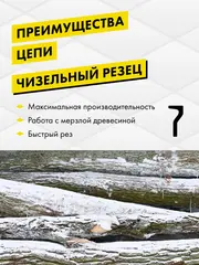 Цепь пильная в кольце DDE 21LP 325