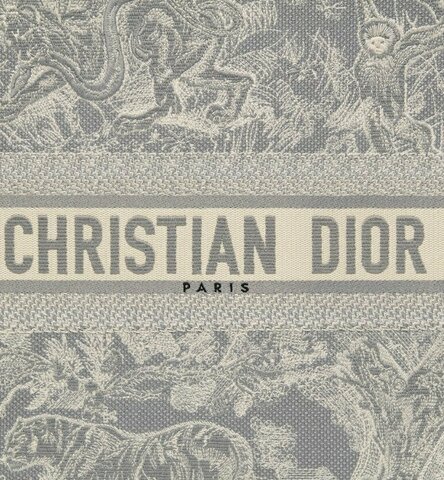 Сумка Dior Book Tote серый