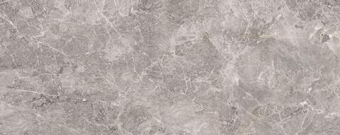 Porcelanosa Elegant Grey Brillo 59.6x150
