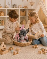 ASI Французкий бульдог Лили в розовом комбинизоне (617620)