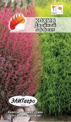Семена Кохия Двойной эффект, Одн
