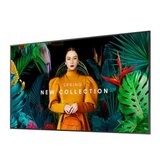 Профессиональный дисплей Samsung QB65C