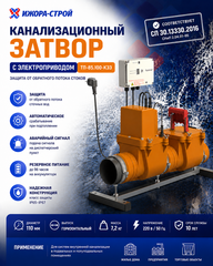 Канализационный затвор с электроприводом ТП-85.100-КЗЕ 101200072