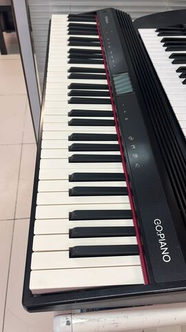 Цифровые пианино ROLAND GO-61P