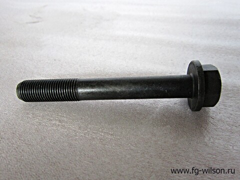 Болт головки блока / SCREW АРТ: 909-260