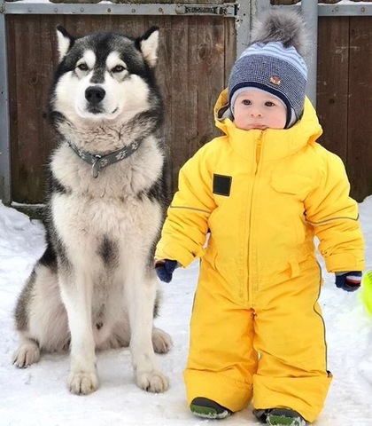 комбинезон детский зимний SASHA JUNIOR желтый