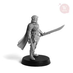 Warrior Elf
