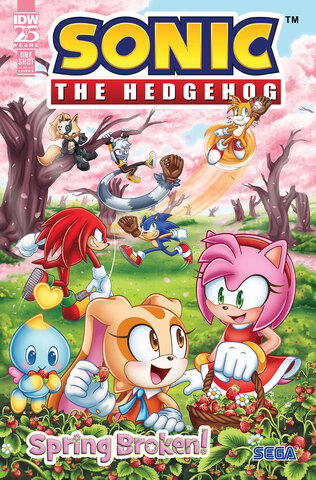 Sonic The Hedgehog Spring Broken #1 (One Shot) (Cover B)