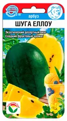 НОВИНКИ
