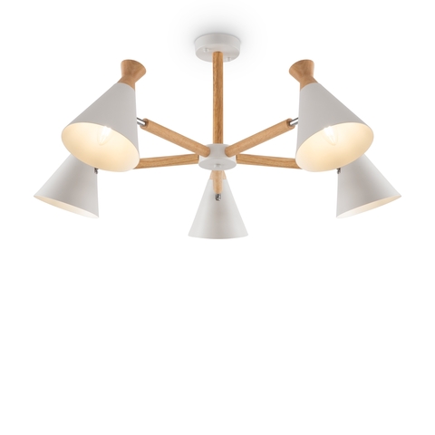 FR5169PL-05W