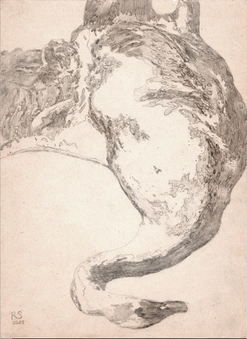Рисунок 3