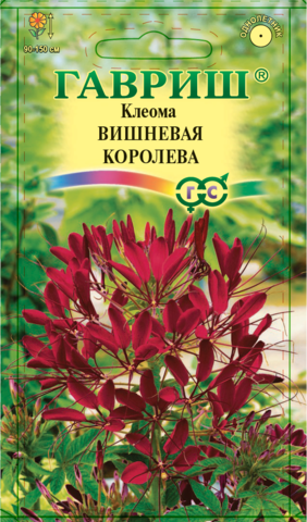 Семена Клеома Вишневая Королева