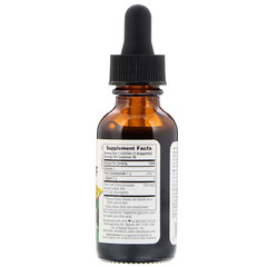 Nature's Plus, Herbal Actives, из листьев оливы, без спирта, 1 жидкая унция (30 мл)