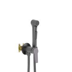 Aquatek AQ1719BGM AQ1719BGM ЛУГАНО комплект для гигиенического душа встроенный (смеситель + гигиеническая лейка + шланг), оружейная сталь фото