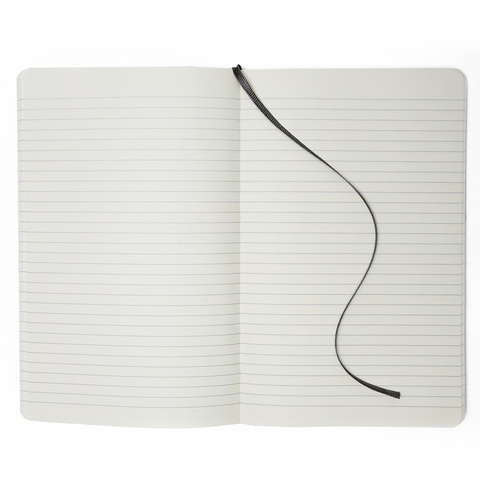 Блокнот Moleskine Classic Large, цвет черный, в линейку