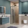 BelBagno SOFT_CLOSE-2-BF-1-100-C-GM Душевая дверь