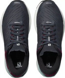 Кроссовки беговые Salomon Sonic 3 Confidence W grey женские