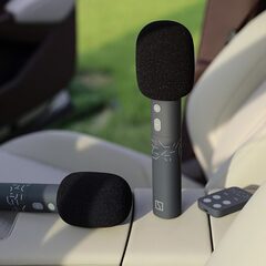 Микрофоны ZEEKR
