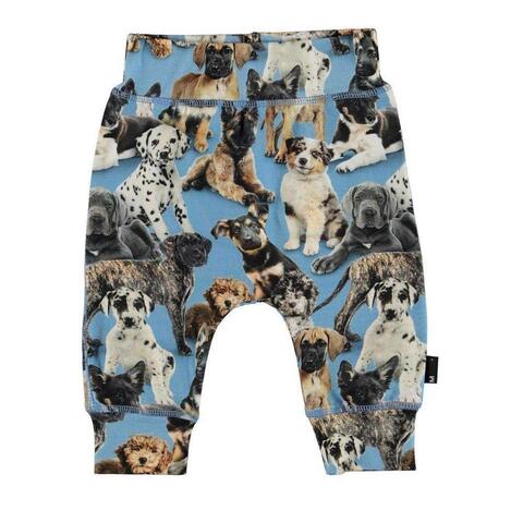 Штаны Molo Sammy Pups