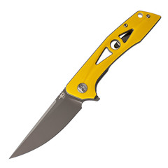 Фото Складной нож Bestech Eye of Ra Yellow , сталь D2, G10