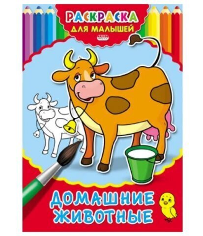 Раскраска А4 Р-2478 Домашние животные 4л