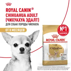 Royal Canin Chihuahua Adult сухой корм для собак породы Чихуахуа 3 кг