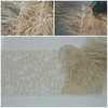 Кружево SH Beige Sable