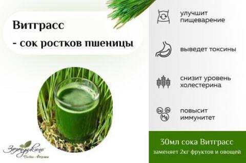 Витграсс