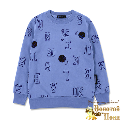 Свитшот хлопок м (3-7) 260916-BK1858T.3