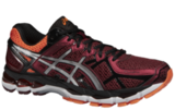 Кроссовки Asics Gel Kayano 21 мужские