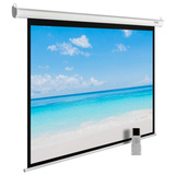 Экран Cactus CS-PSME-300X225-WT