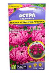 Астра Тысяча чудес ярко-розовая карликовая (Семена Алтая)