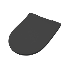 ArtCeram File 2.0 FLA014 03 NERO АКЦИЯ Сиденье для унитаза с микролифтом, цвет: чёрный фото