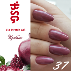 BSG №37 Изобилие BSG №37 Изобилие