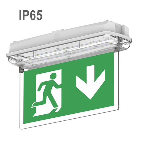Двухсторонние указатели аварийного освещения Moncato DP628 LED IP65 D-sign Двухсторонние указатели аварийного освещения Moncato DP628 LED IP65 D-sign