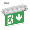 Двухсторонние указатели аварийного освещения Moncato DP628 LED IP65 D-sign