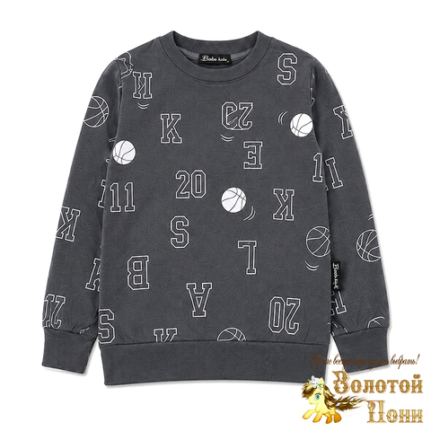 Свитшот хлопок м (3-7) 260916-BK1858T.4