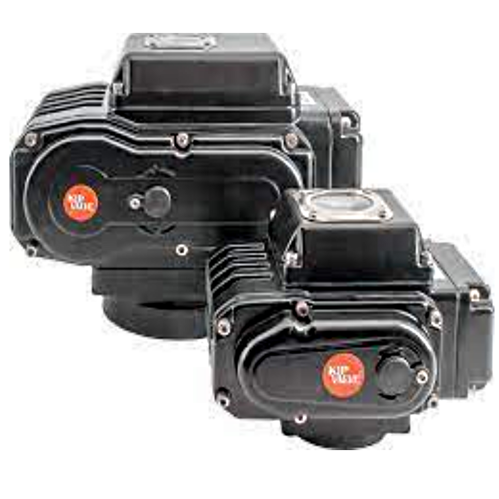 DXL-05-D-220VAC-50Nm/30s-Z-G  привод электрический, 50Nm, 220VAC