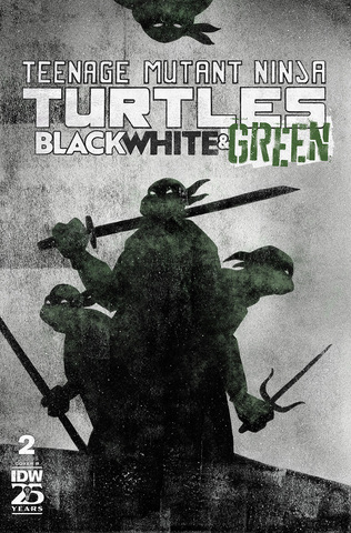 Teenage Mutant Ninja Turtles Black White & Green #2 (Cover B)