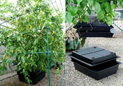 Купить систему амазон_amazon-aeroponic-система аэропоническая_аэропонная система_Смотреть на сайте_Growmir.ru_гроумир_Growmir купить систему для выращивания растений