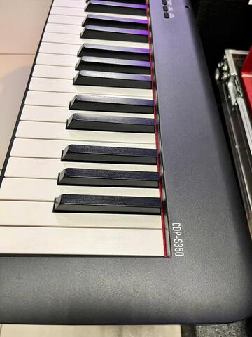 CASIO CDP-S350